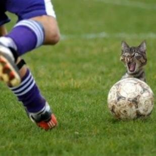 Indian sports lover, sports commentary.Funny side up!:D