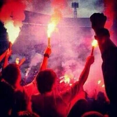 Feyenoord Rotterdam ♥__♥          facta non verba