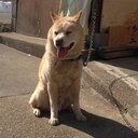 国士舘法学部現ビ卒業！ 地元で就職しました！