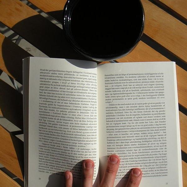 CafeCarti's profile picture. 