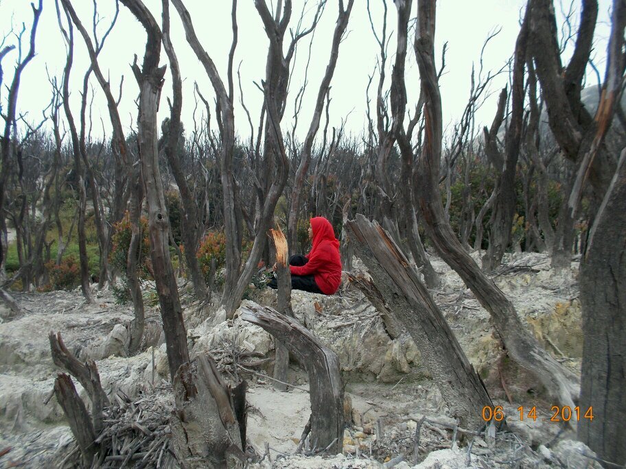 BE 100% OR 0
#srudukfollow