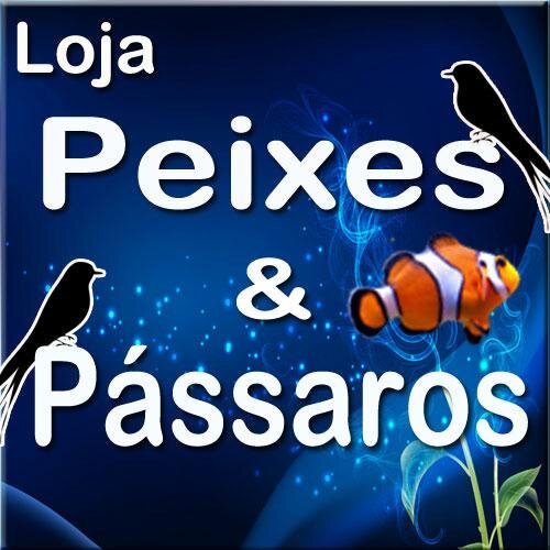 Loja destinada a comercialização de peixes ornamentais, aves domésticas, bem como produtos para sua adequada manutenção.