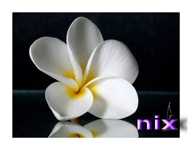 unixsolaris's profile picture. 