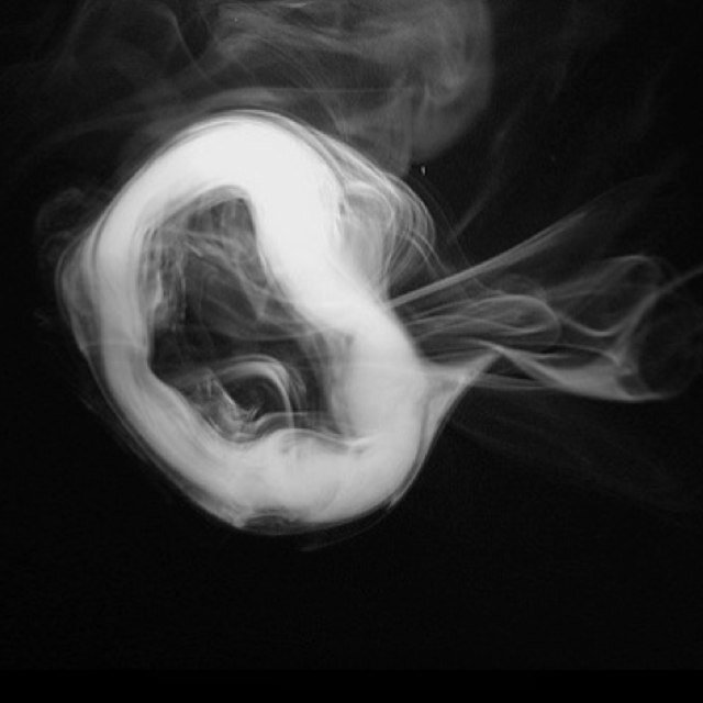 federicalolli00's profile picture. SE MI SEGUI, TI SEGUO!