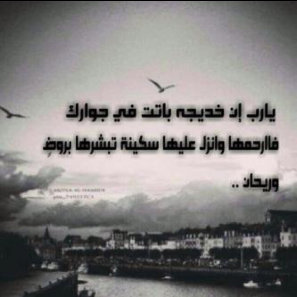 احببتها فجعلت لها هذا الحساب ليشفع لها ❤️ الى جنة الخلد باذن الله ، تحتاج منكم تحللونها وتبيحونها