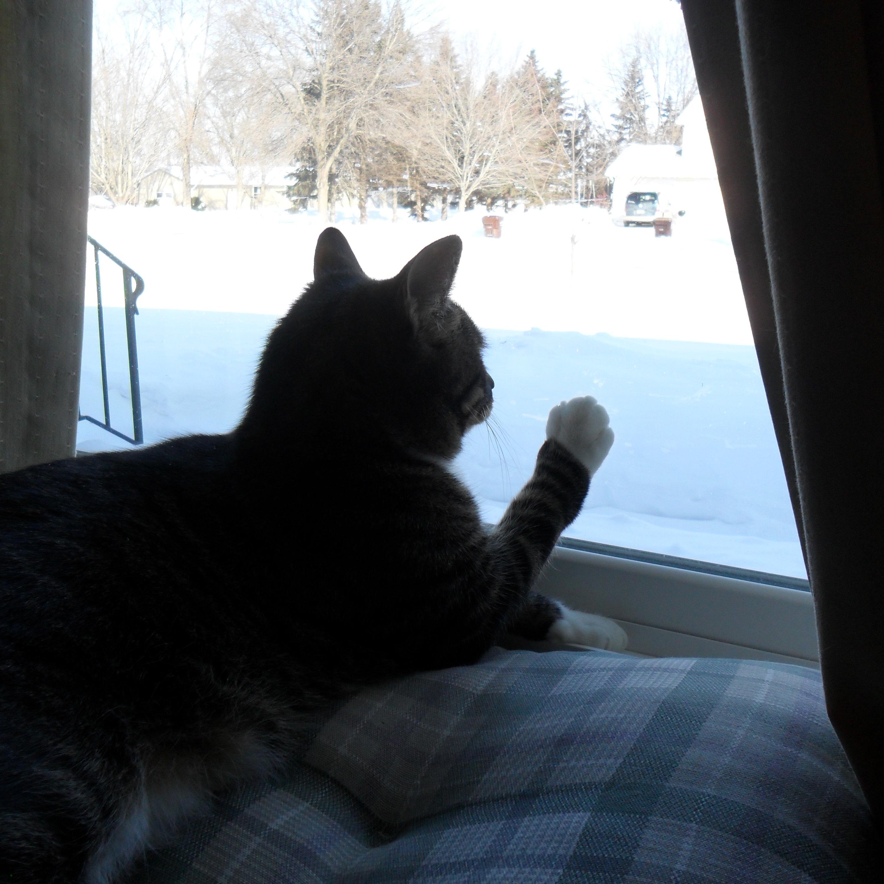 Firefly5555's profile picture. I am an artist, which is not a self imposed label. I love nature, gardening, my children and grandchild.