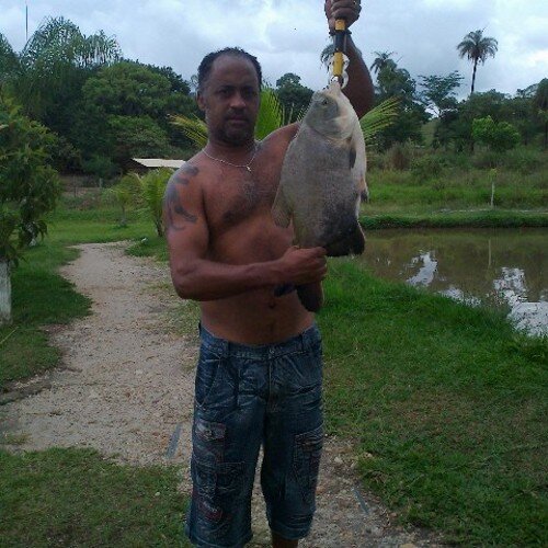 marciothale50's profile picture. 