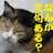 michiru_sano