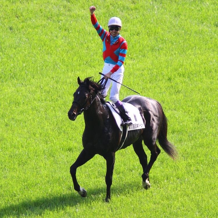 京都府宇治市在住。酒と競馬と野球を愛する54歳のオッサンです。
毎日ツマミ画像を漁りながら、
カンパイしています🍻🍻🍻
滝平二郎最高です❤️