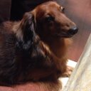 ̄_ (@01364572) Twitter