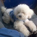 mar.laura brea muñoz - @gon_lau - Twitter