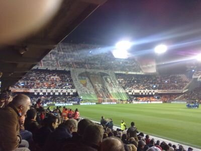Valencià i Valencianista hasta la mèdula