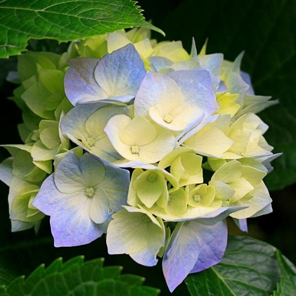 sexyhotbody1223's profile picture. hae i'm on http://t.co/tnyzRi9irc and im really injoying myself and im just having fun