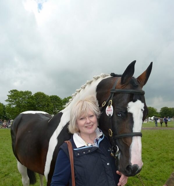 Animal-loving sculptor specialising in bronze equestrian and wildlife sculptures and unique jewellery. Based in beautiful Dorset. http://t.co/Usuq65sVm5
