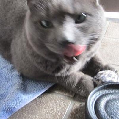 つばきゆう