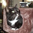 teri obrien - @luvmypooty - Twitter