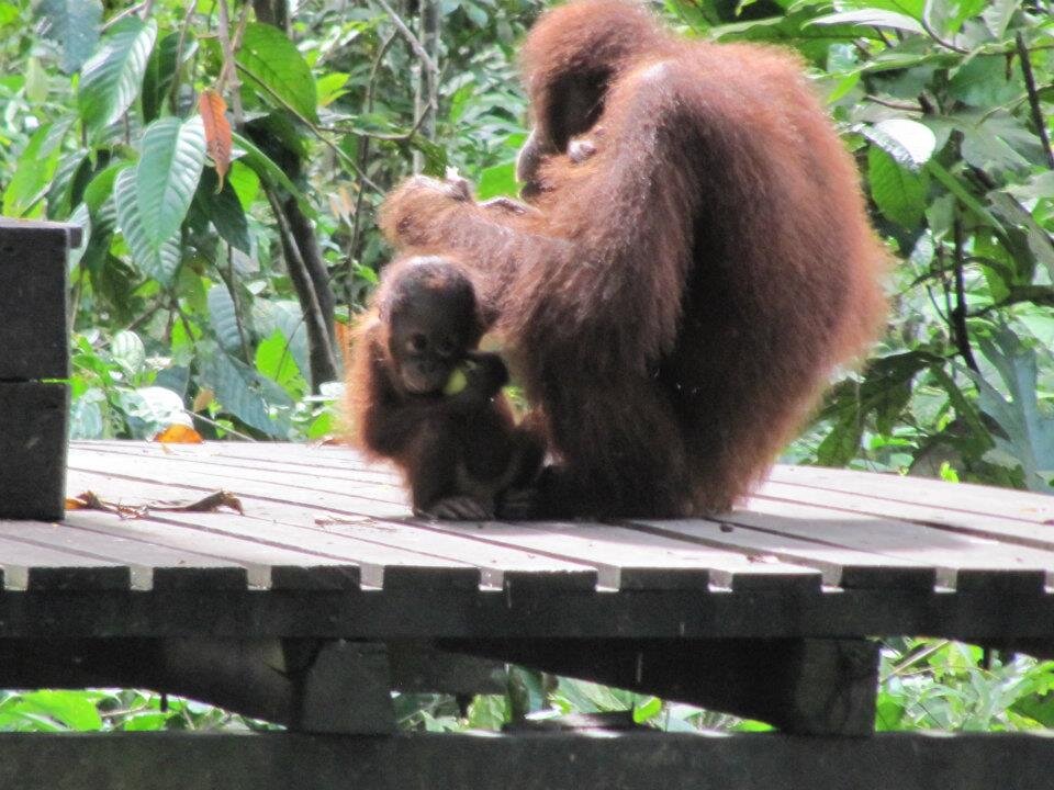 doesnthaveme's profile picture. 💗