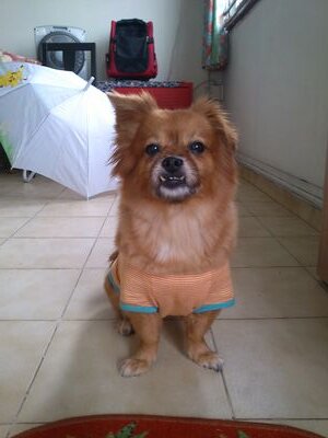 ac573fdad44e473's profile picture. 