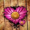 Deborah Curl - @DeborahCurl - Twitter