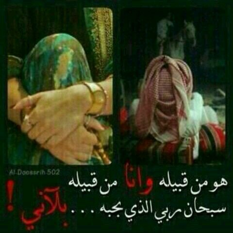 تابعني ...وابشر بالرتويت المجاني.