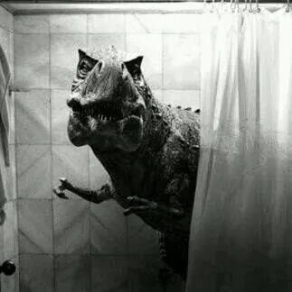 theragingsemi's profile picture. Inappropriateness, fuckery, sarcasm, and just outright poor taste... Just a few things listed on my birth certificate.