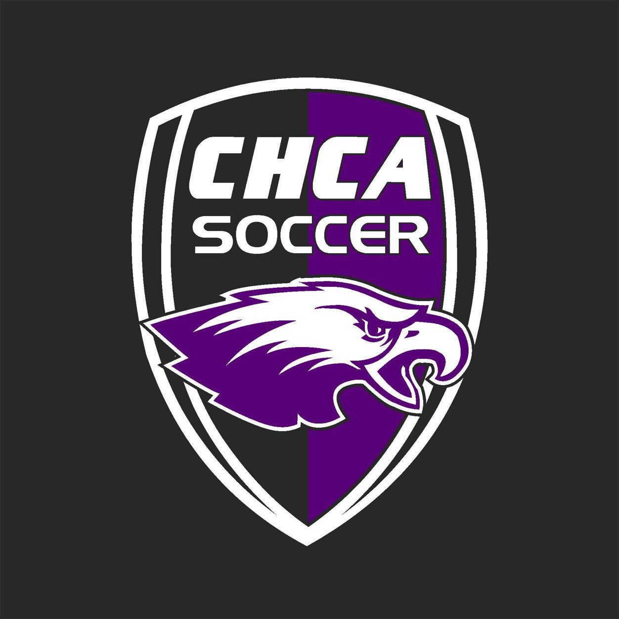 Cincinnati Hills Christian Academy's Boys team compete in Division II and the Miami Valley Conference. Go Eagles!