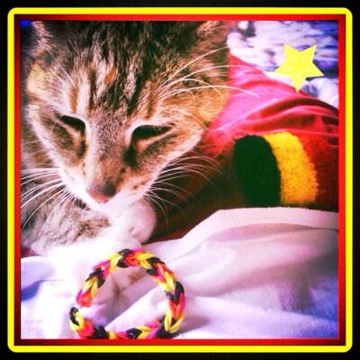 valerie_te's profile picture. 