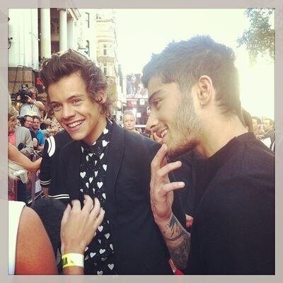 ask for a follow back on @raybanzouis