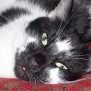 Cindy Bates - @CindyAyersBates - Twitter