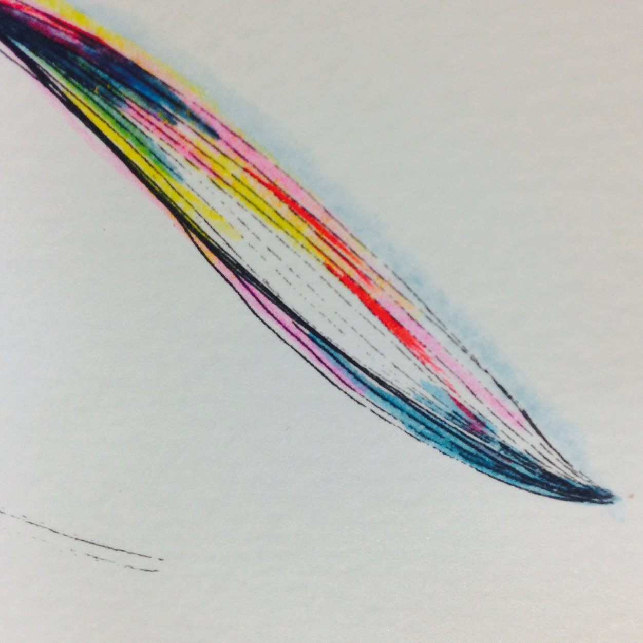 phantric's profile picture. 