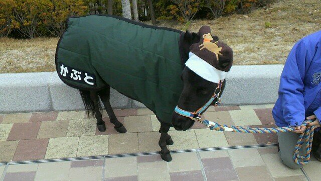 競馬好きのおっさんで、中京競馬場でよく遊んでます！ https://t.co/0m0M4YxT4n