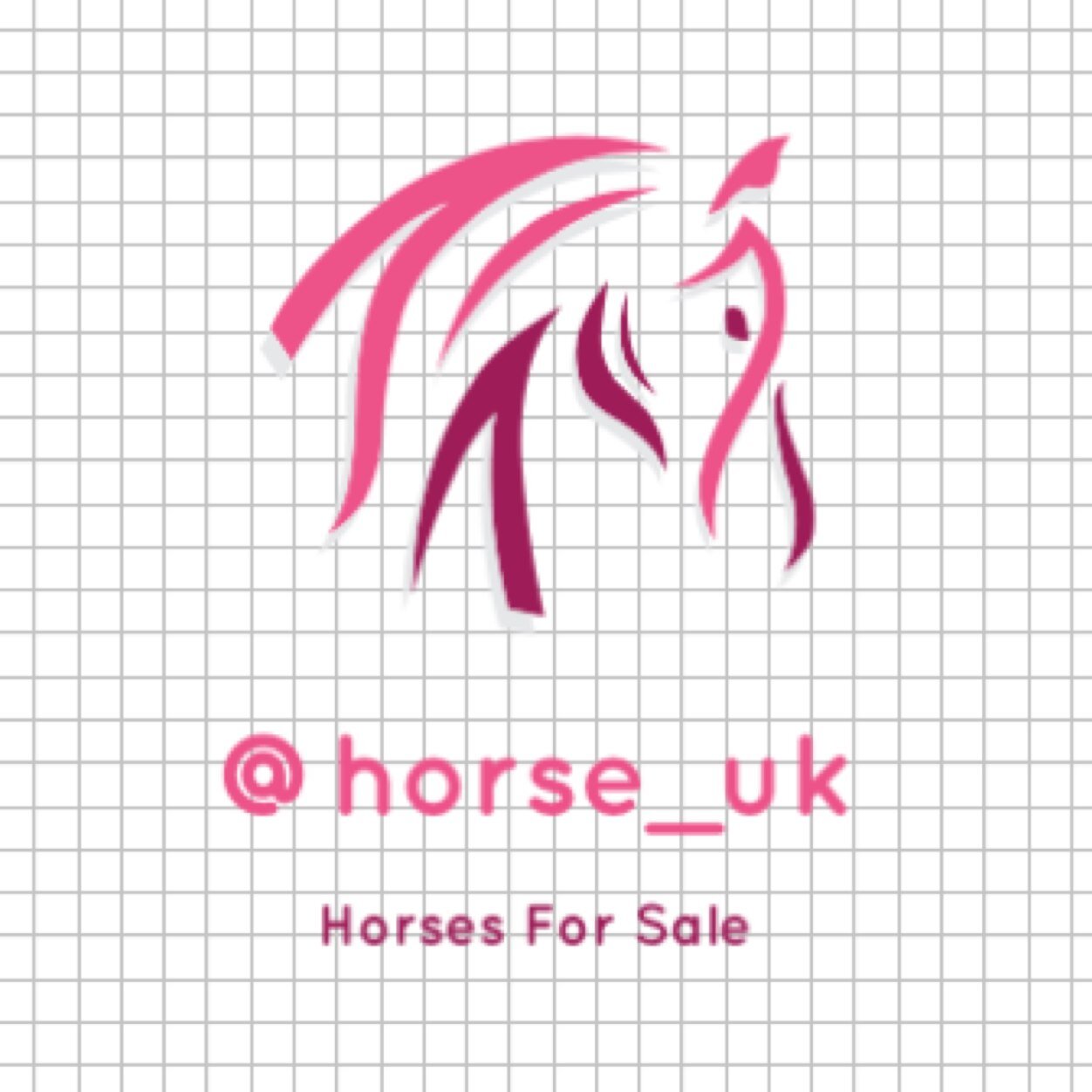 Horses For Sale UK