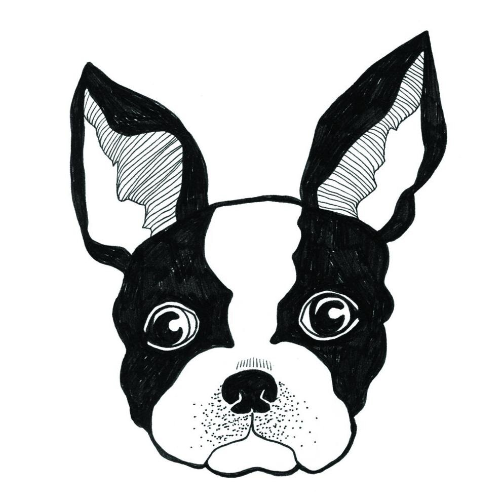 cute quirky clothing brand featuring your favourite animals