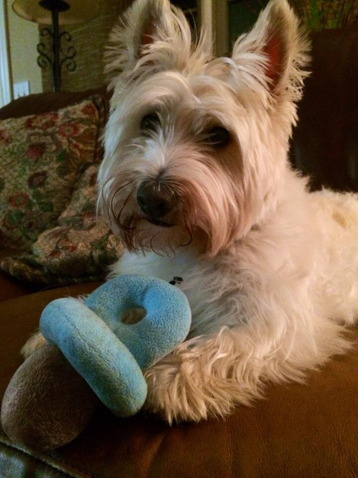 JMM1991_'s profile picture. 