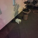 Jonathan - @JonLikeAll - Twitter