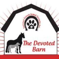 thedevotedbarn's profile picture. Our mission is to partner at risk kids with animals from cruelty/ neglect, teaching the kids compassion & empathy and the animals trust & love. We are a 501 c 3