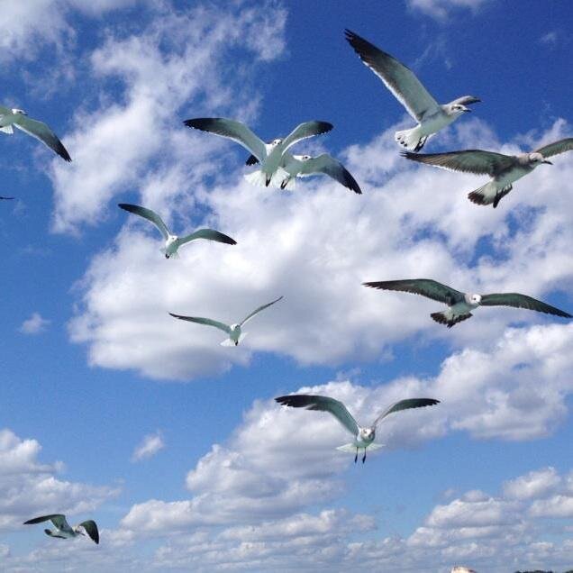 LuciaSe's profile picture. 