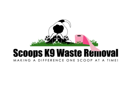 ScoopsK9's profile picture. 