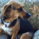 Pat Parrish - @patparrish18 - Twitter