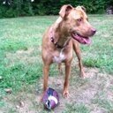 mcgrowly's profile picture. Living the infinite game