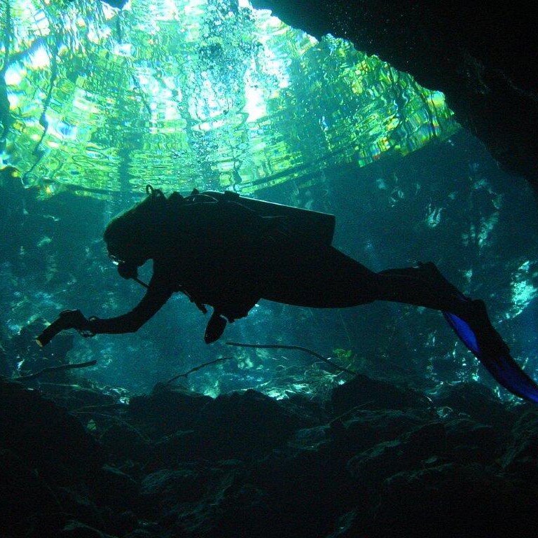 Josoucie's profile picture. 