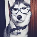 Jacob - @JakeNeill_ - Twitter