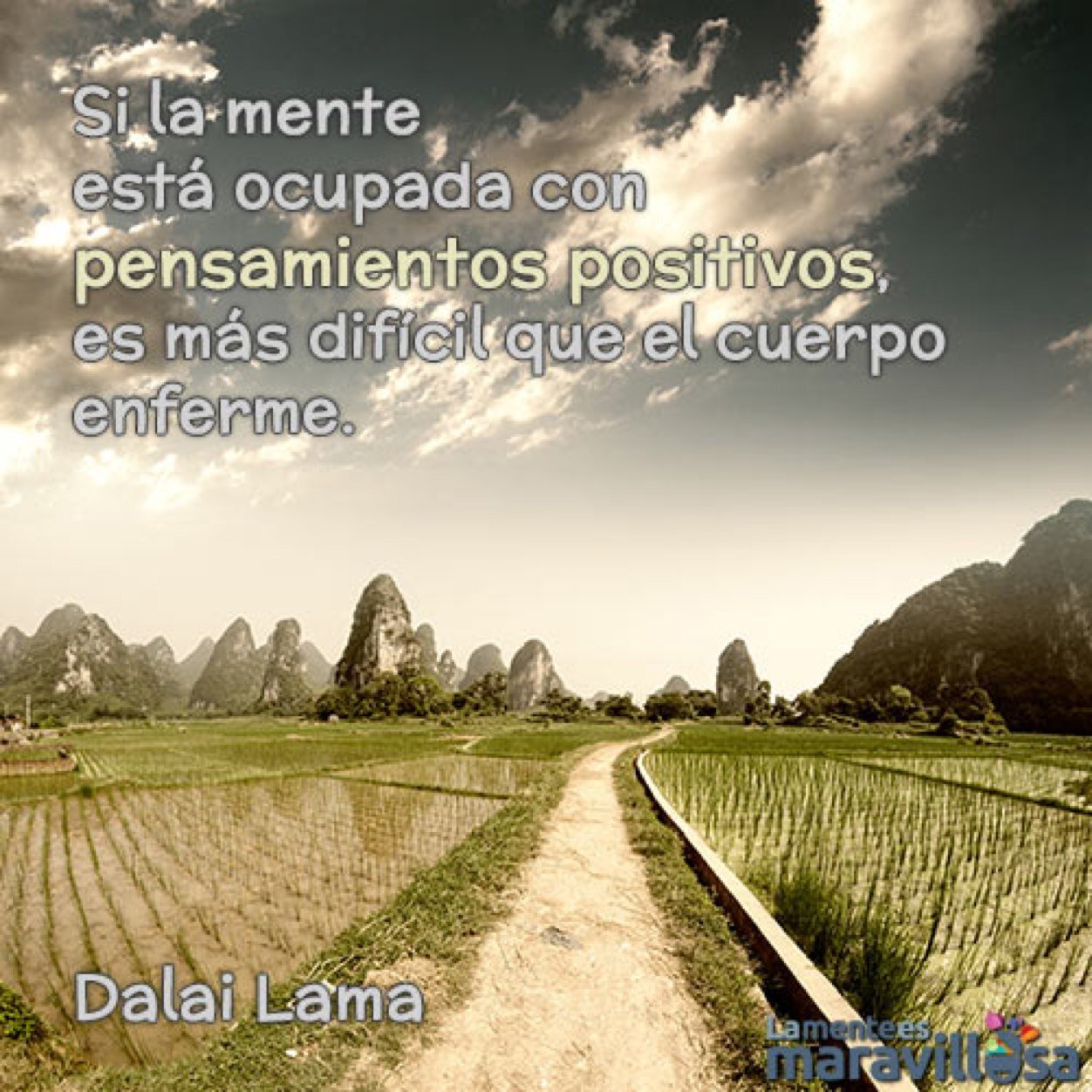 Calidad de vida.
