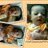 Didi_Negara's profile image