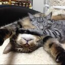 カミーユが女の名前で何が悪い