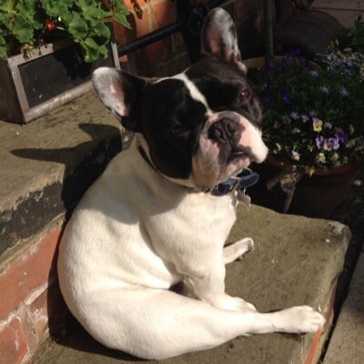 MollyrRegan's profile picture. 