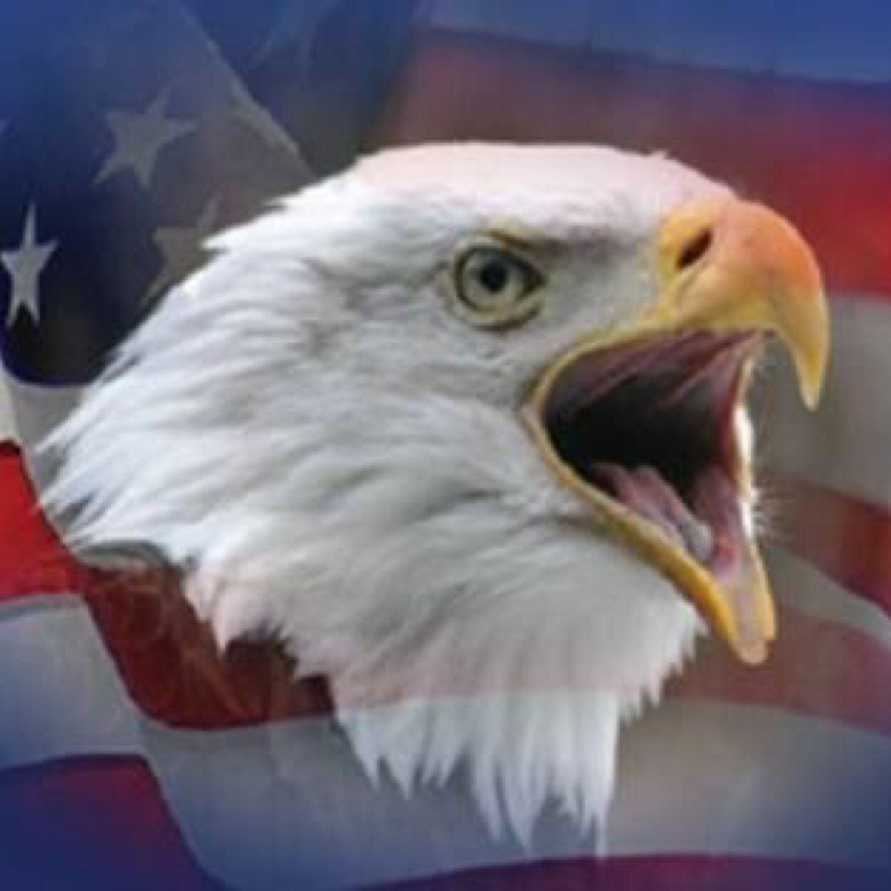 free follow from @actualwinchestr go usa