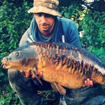 danfarrowbse's profile picture. 