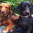 bennyandbea's profile image