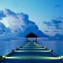 thr0ttle's profile picture. middle class girl, trying to make a buck